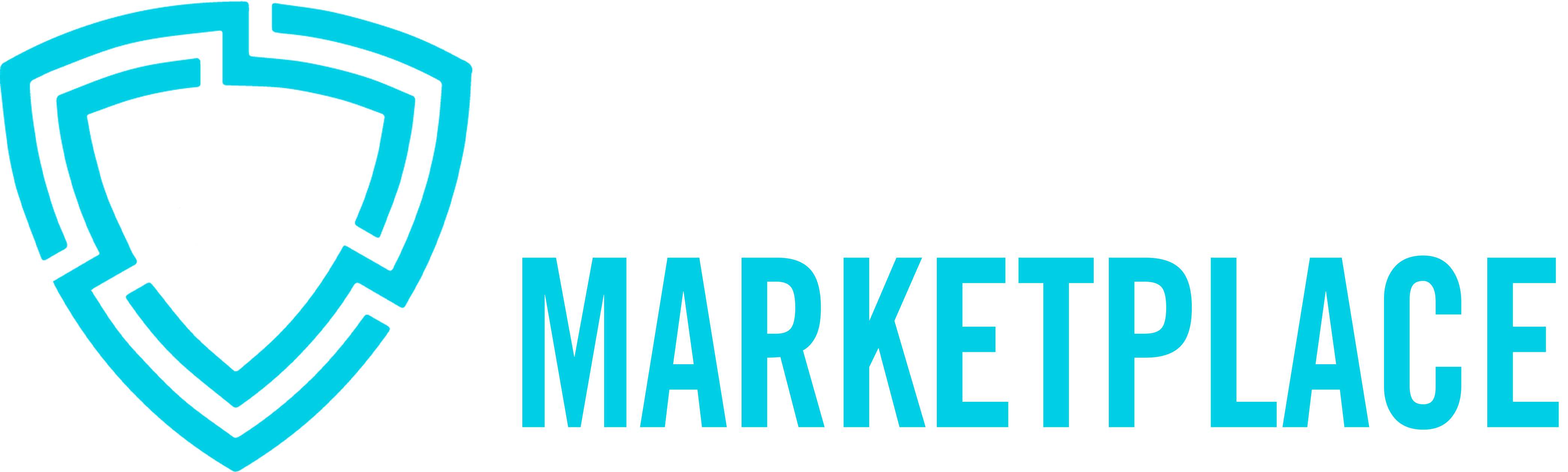 Cyber Privacy Market